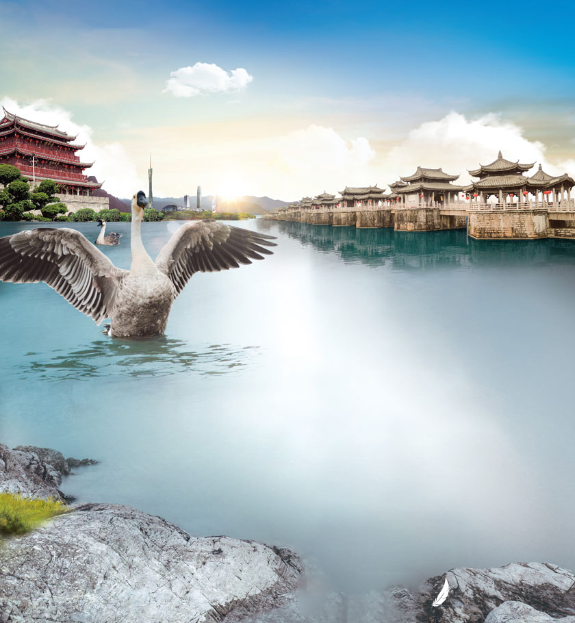 廣東(dōng)獅頭灰鵝絨