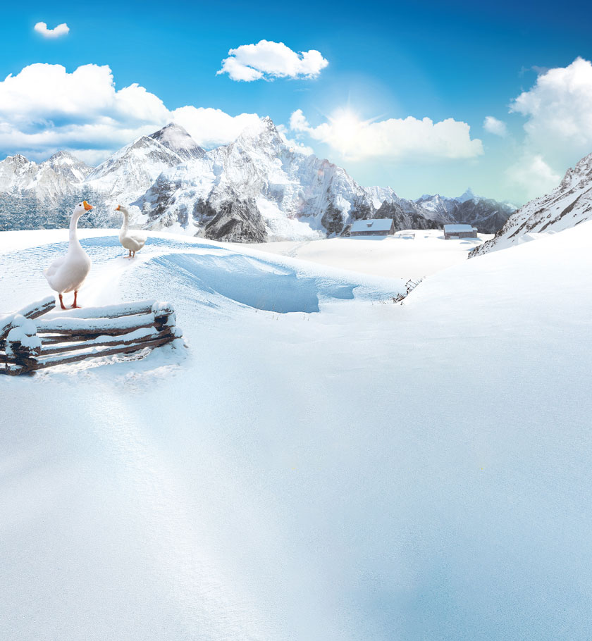 長(cháng)白(bái)山(shān)白(bái)鵝絨