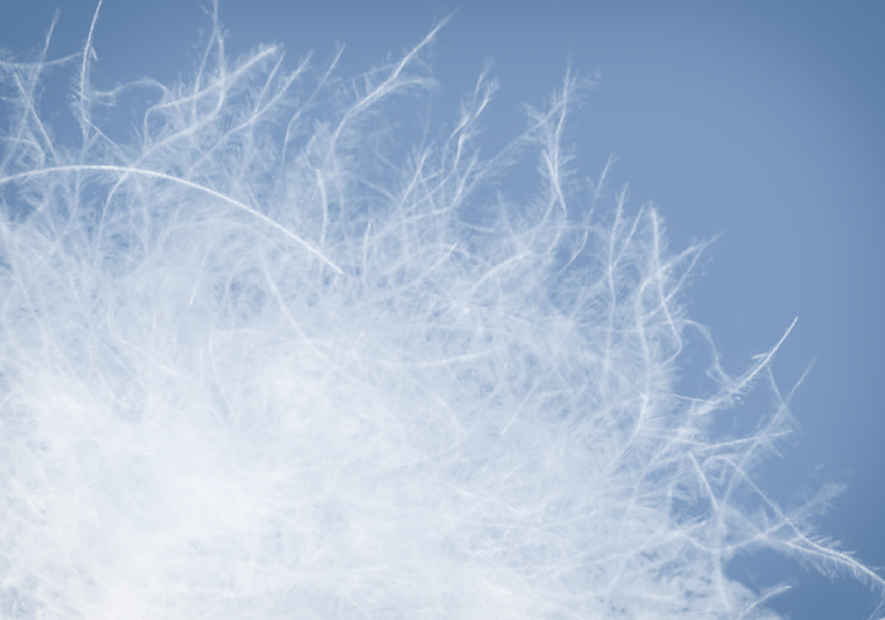 優選立體(tǐ)純淨羽絨 絨纖氣孔鎖牢抑菌因子(zǐ)