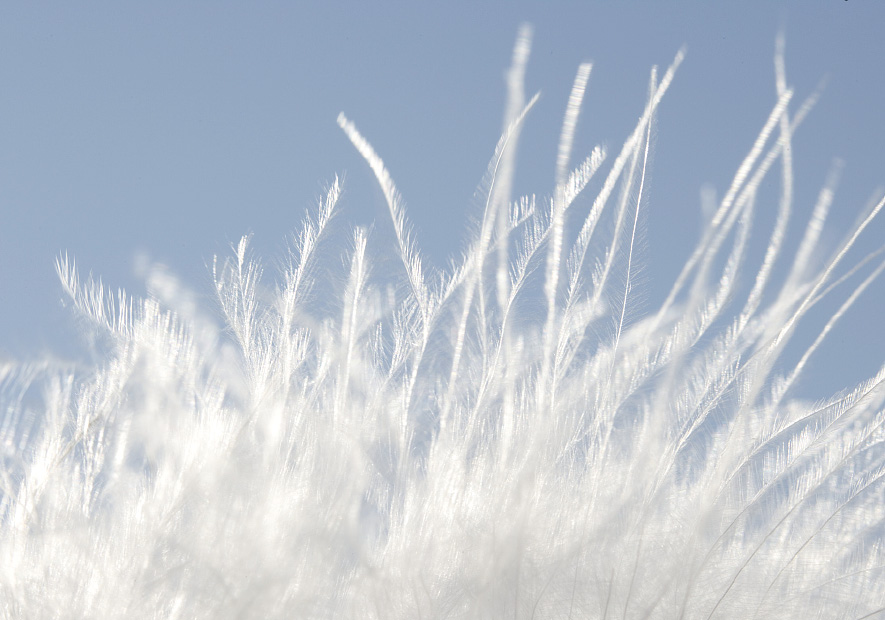 優選天然透濕羽絨 90%高(gāo)絨量幹爽溫暖