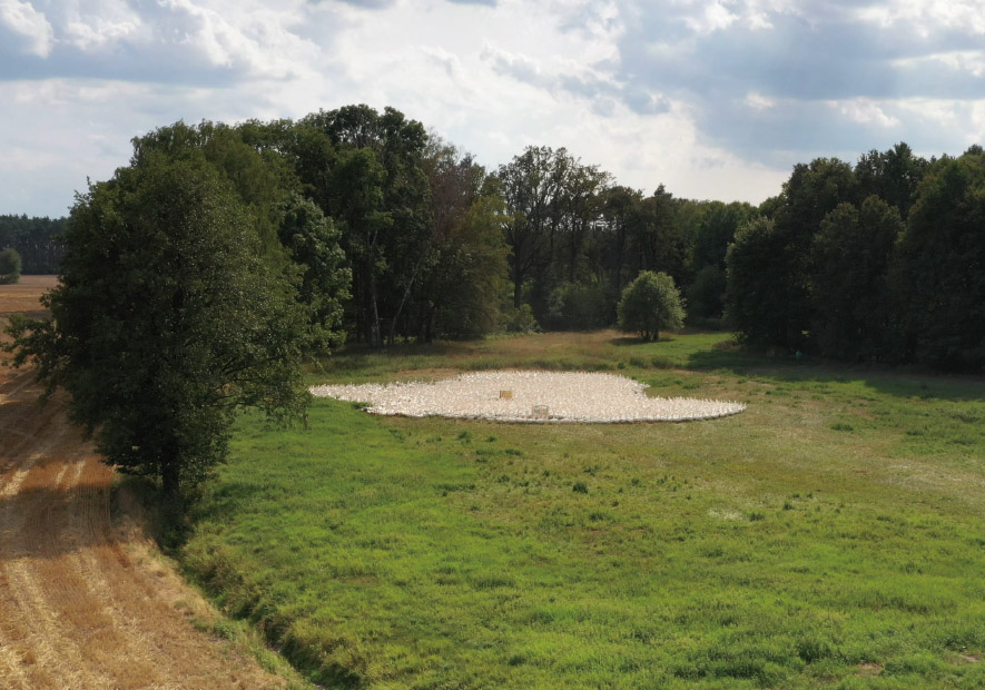 環球甄選  高(gāo)緯度寒帶 高(gāo)蓬松波蘭白(bái)鵝絨直采