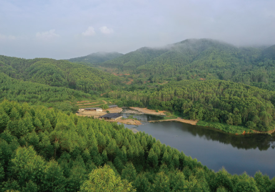 環球甄選  深山(shān)水(shuǐ)庫 直采純淨廣東(dōng)獅頭鵝絨
