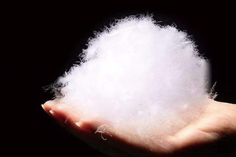 你(nǐ)知(zhī)道(dào)90鵝絨與90鴨絨的(de)區(qū)别嗎(ma)？