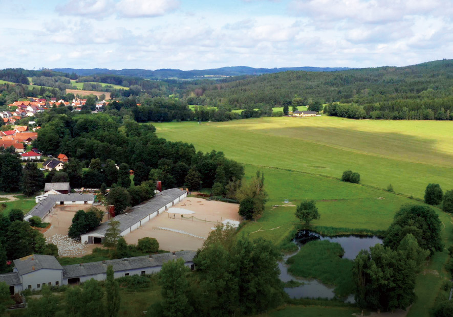 環球甄選 伏爾塔瓦流域 捷克極寒白(bái)鵝純淨絨直采